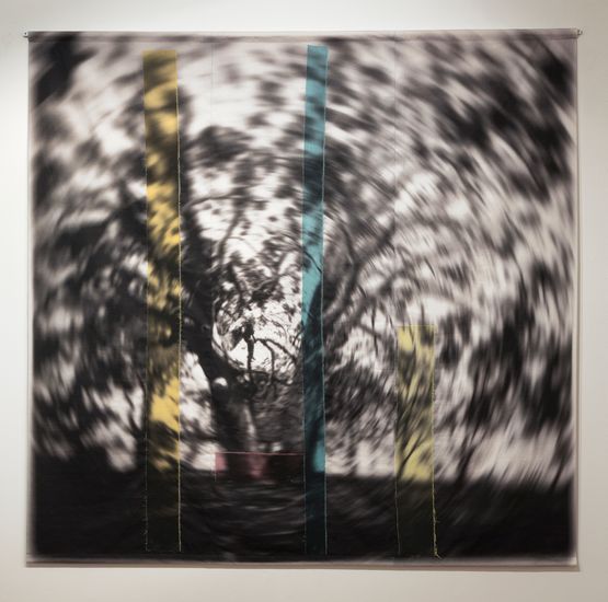 Falling Suspended after Charles Walter by Caroline Rothwell contemporary artwork Mixed Media