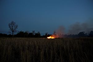 Apichatpong Weerasethakul