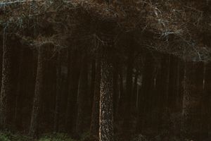 Conor Clarke