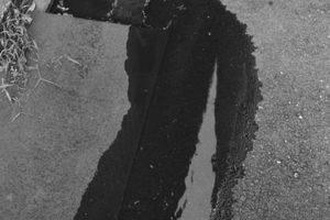 Takano Ryudai