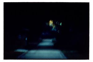 Bill Henson
