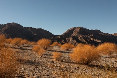 Desert X Reveals Participating Artists for 2023
