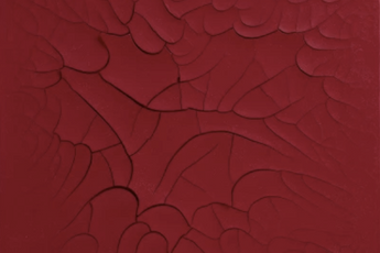 Adriana Varejao contemporary artist