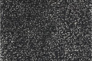 Glenn Ligon