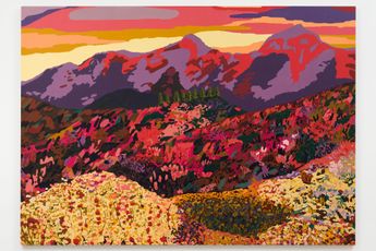 Hilary Pecis contemporary artist