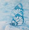 Butterfly effect by Ling Wai Shan contemporary artwork Painting