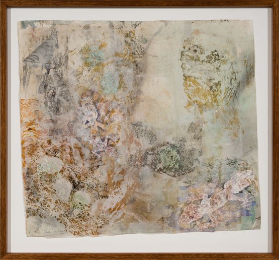 Cryptic mimicry of the Moritzs leaf-tailed gecko by John Wolseley contemporary artwork Works on Paper