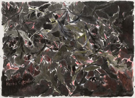 Shepherds Purse 11  11 by Wu Yiming contemporary artwork Works on Paper