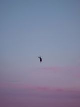Time is the Enemy 3 by Andrea Galvani contemporary artwork photography