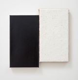 UNTITLED PAIR by John Nixon contemporary artwork painting