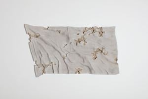 Daniel Arsham