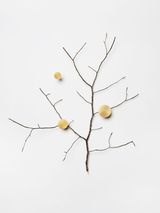 Branch with gold accents by Daniel Steegmann Mangrane contemporary artwork sculpture