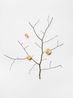 Branch with gold accents by Daniel Steegmann Mangrane contemporary artwork Sculpture