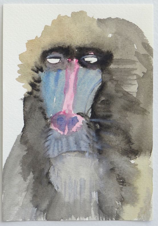Baboon Close by Francis Upritchard contemporary artwork Works on Paper