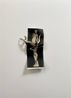 From the series Unstable Monuments by Lucia Tallova contemporary artwork Works on Paper