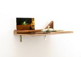 nach dem Taifun - Frosch by Linus Riepler contemporary artwork mixed media
