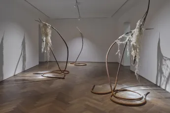 Contemporary art exhibition Dominique White All Great Powers Collapse from the Centre at Kunsthalle Basel Switzerland