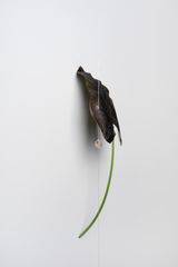 Colocasia Black Coral by Tania Perez Cordova contemporary artwork sculpture