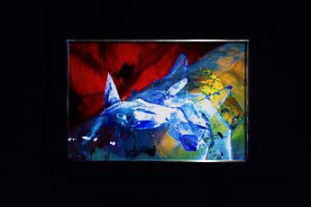 Diane Severin Nguyen contemporary artist
