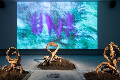 Shanghai Biennale Mobilises Trans-Species Alliances