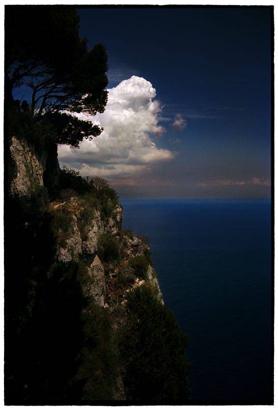 Untitled by Bill Henson contemporary artwork Photography