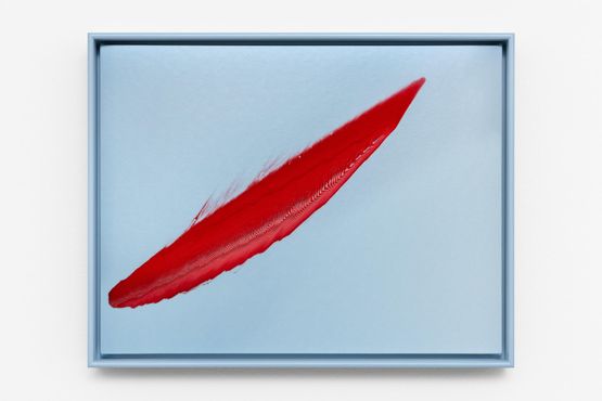 Extended Object by Tauba Auerbach contemporary artwork Painting