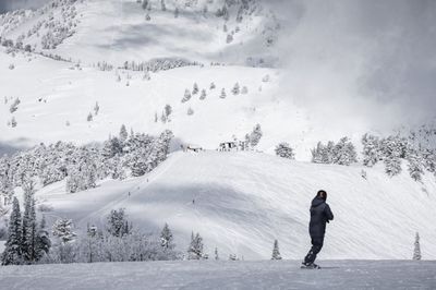 Netflix Founder to Launch a Skiable Art Museum in Utah