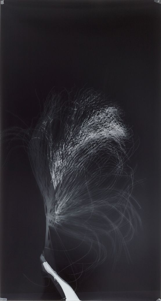 Untitled from Clearing by Simryn Gill contemporary artwork Photography