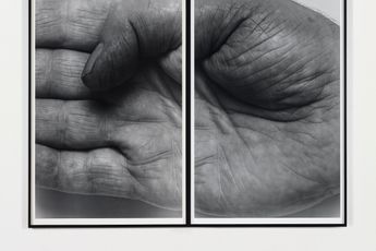 John Coplans contemporary artist