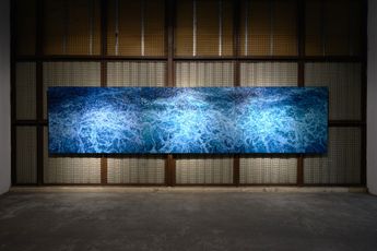 Elaine Navas contemporary artist