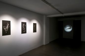 Contemporary art exhibition Paulo Lisboa The Last Photon on the Retina at Sabrina Amrani Madera 23 Madrid Spain