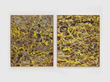 Diptico Pamona Pamona Diptych by Mucki Botkay contemporary artwork textile