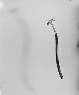 Soft Hammer by Joao Maria Gusmao  Pedro Paiva contemporary artwork photography