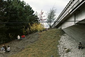 Jeff Wall