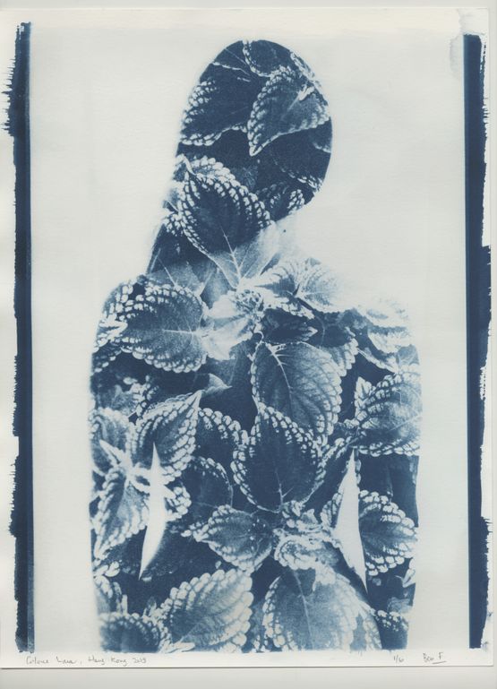 Coleus Lara PHOTOSYNTHESIS Hong Kong by Ben Felten contemporary artwork Photography