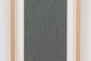 Veronica Herber