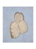 Butterfly by Krzysztof Grzybacz contemporary artwork Painting