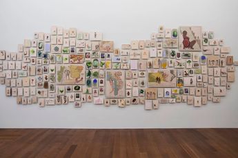 Contemporary art exhibition Firelei Baez Firelei Baez at Museum of Contemporary Art Chicago United States
