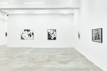 Contemporary art exhibition Wook-Kyung Choi Wook-Kyung Choi at Tina Kim Gallery New York United States