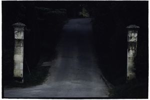 Bill Henson