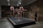 Mire Lee contemporary artist