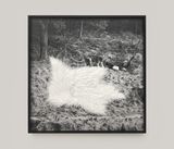 Climbing the Mountain-4 by Wu Wei contemporary artwork works on paper