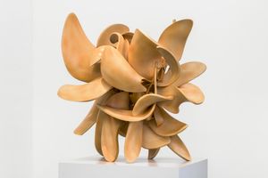 Tony Cragg