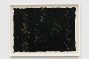 Richard Serra