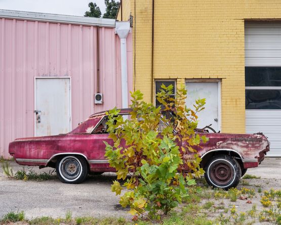 Old Car Rocky Mount North Carolina by Anastasia Samoylova contemporary artwork Print