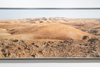 Contemporary art exhibition Group Exhibition Shifting grounds at Fabienne Levy Lausanne Switzerland
