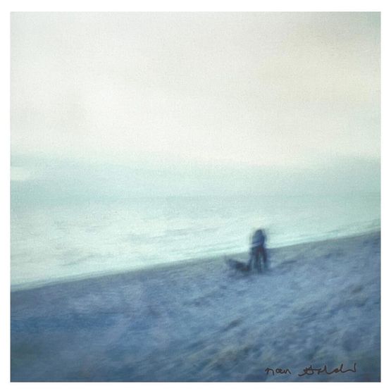 Memory Lost Sirens by Nan Goldin contemporary artwork Print