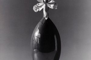 Robert Mapplethorpe