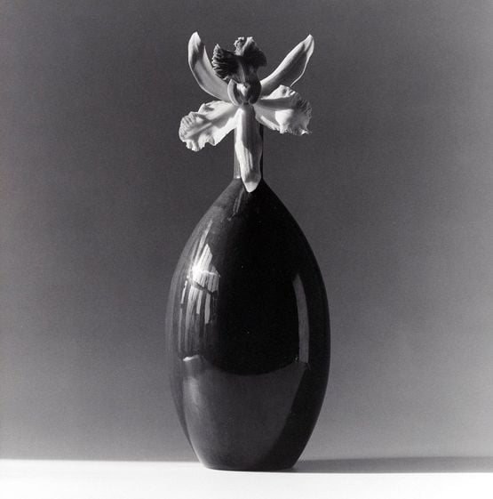 Orchid by Robert Mapplethorpe contemporary artwork Photography