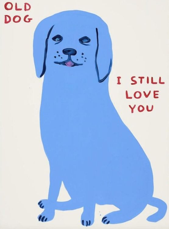 Old Dog by David Shrigley contemporary artwork Print